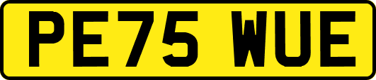 PE75WUE