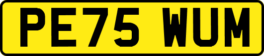 PE75WUM
