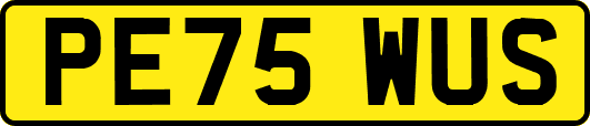 PE75WUS
