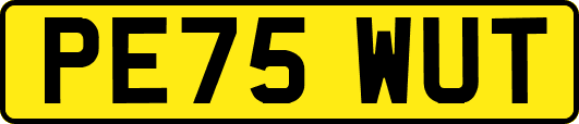 PE75WUT