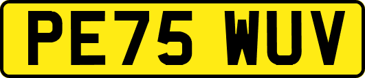 PE75WUV