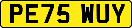 PE75WUY