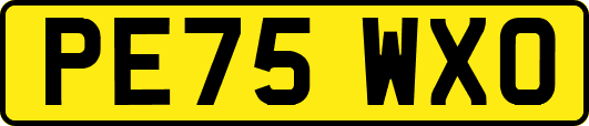 PE75WXO