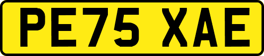 PE75XAE