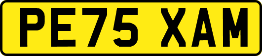 PE75XAM
