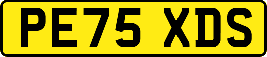 PE75XDS