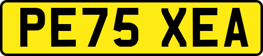 PE75XEA