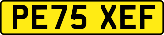 PE75XEF