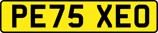 PE75XEO
