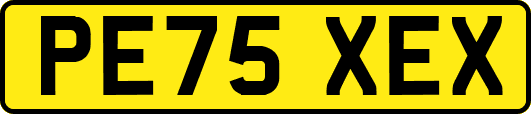 PE75XEX
