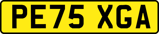 PE75XGA