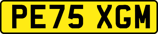 PE75XGM