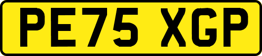 PE75XGP