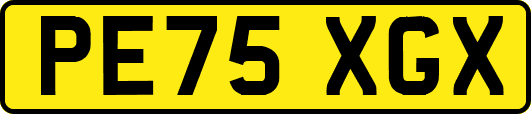 PE75XGX