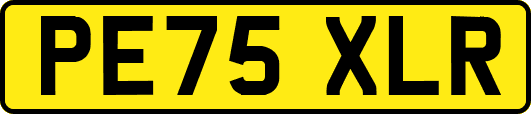 PE75XLR