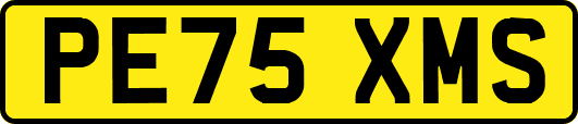 PE75XMS
