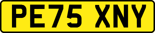 PE75XNY