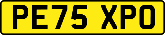 PE75XPO
