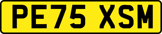 PE75XSM