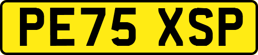PE75XSP