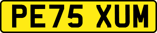 PE75XUM