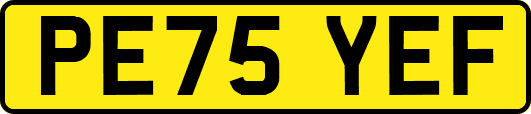 PE75YEF