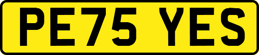 PE75YES