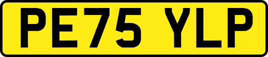 PE75YLP