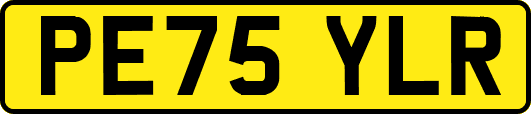 PE75YLR