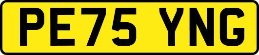 PE75YNG