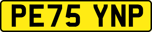 PE75YNP