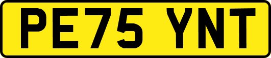 PE75YNT