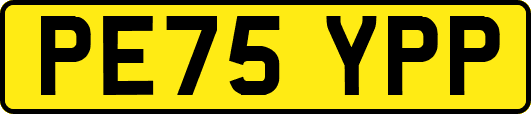 PE75YPP