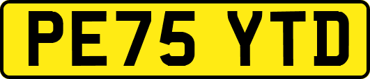 PE75YTD