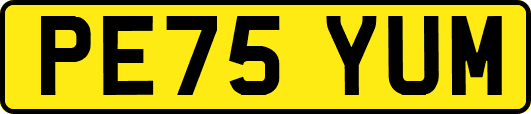 PE75YUM