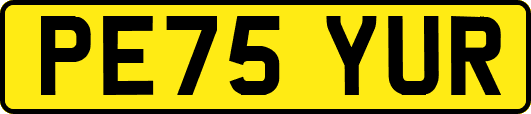 PE75YUR