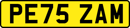 PE75ZAM