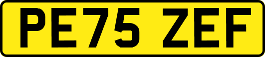 PE75ZEF