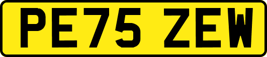PE75ZEW