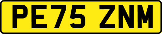 PE75ZNM