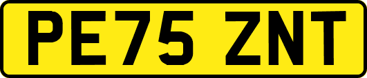 PE75ZNT