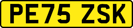 PE75ZSK