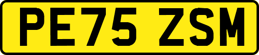 PE75ZSM