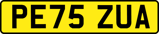 PE75ZUA