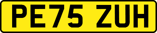 PE75ZUH