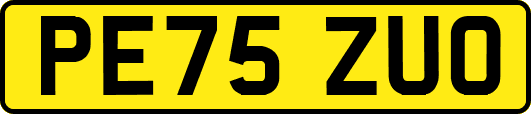 PE75ZUO