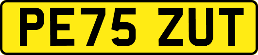 PE75ZUT