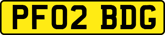 PF02BDG