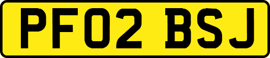 PF02BSJ