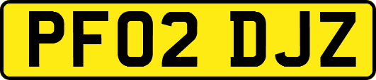 PF02DJZ